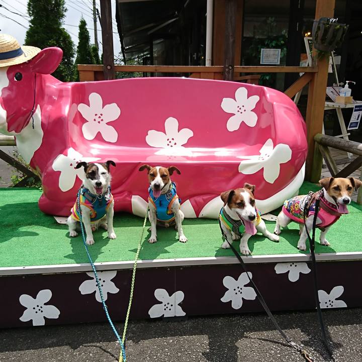 461ec928 a7e0 4247 9d06 d0b5d7bf6b51 1595130584772