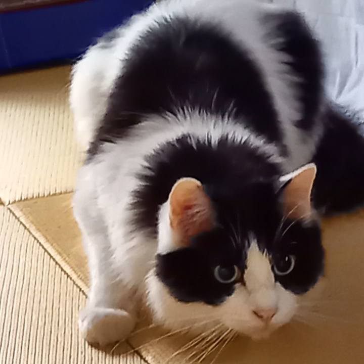 461ef2ac 2e1c 4c0e a221 ab6e5e38a091 1625000835568