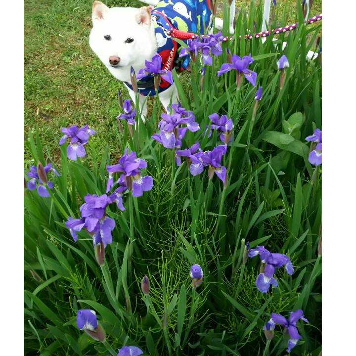 461f08ab 1232 4b58 a2ab 91657125a308 1589966656299