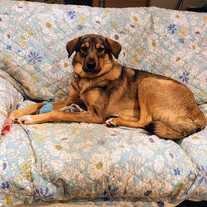 461f102f 3098 4cba 9c7f dd89d8ecd667 1715345256347