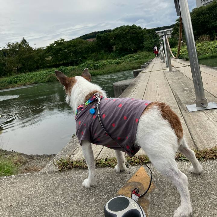 461f2648 dfbb 4b91 b3d4 648f06a9c51e 1665360297393