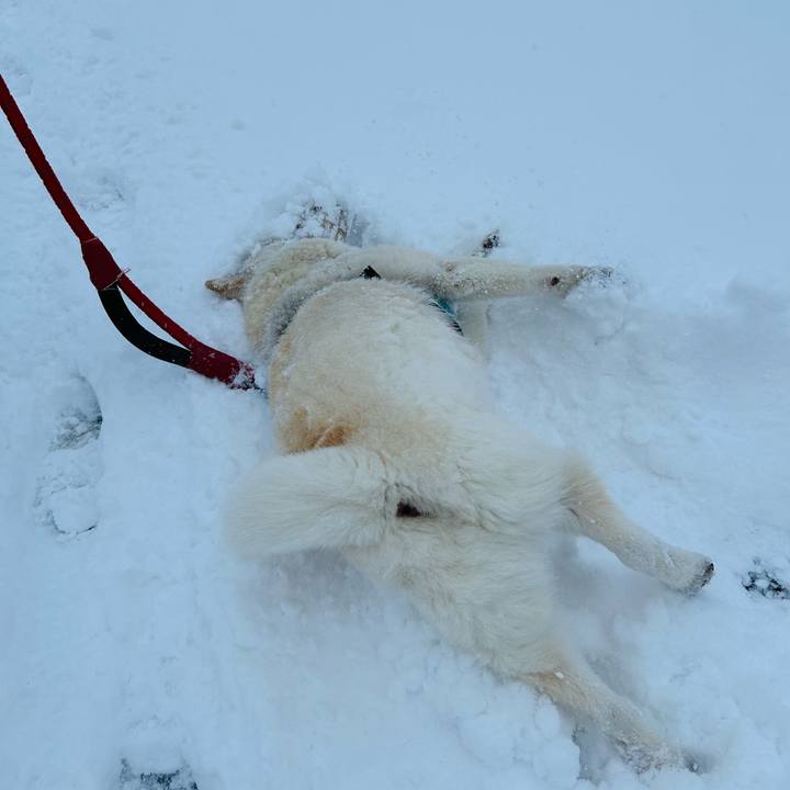 461f2eef 9b67 4be9 97b4 b692548fd25e 1774044855875