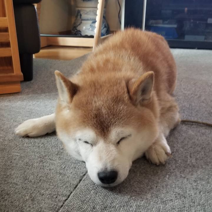 461f3421 f925 4425 911c f03fc54ae088 1705970048884