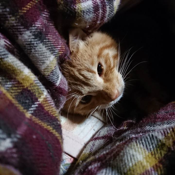 461f8a78 ee8c 4460 b79b b69125c45050 1640917853420