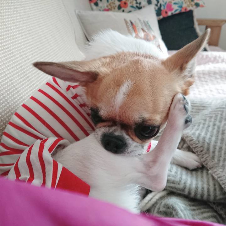 461fbe18 1288 4670 b6a3 30ef9efc039b 1587604013276