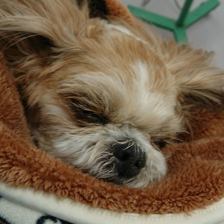 461fc33b 6cb9 444f 8ef6 53e7a49cfd77 1519986566046