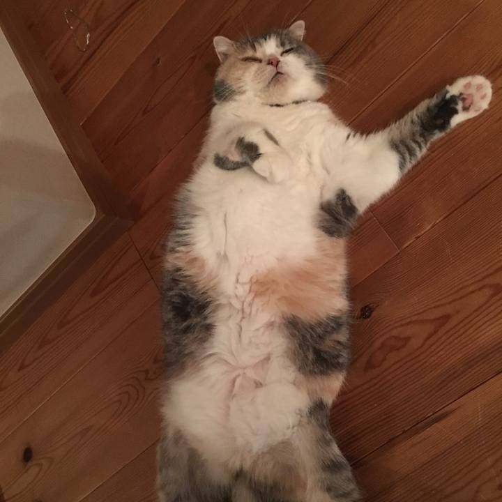 461feb2d 902d 490a bd4e 698dbb624907 1538910725817