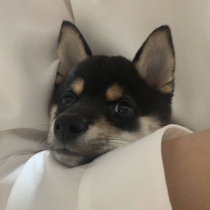 462016b7 0882 4160 a004 ae7ba6ada718 1554894465715