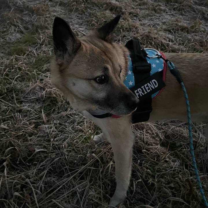 46202a72 dab8 49dc acfe 160772e1d26c 1706618810388