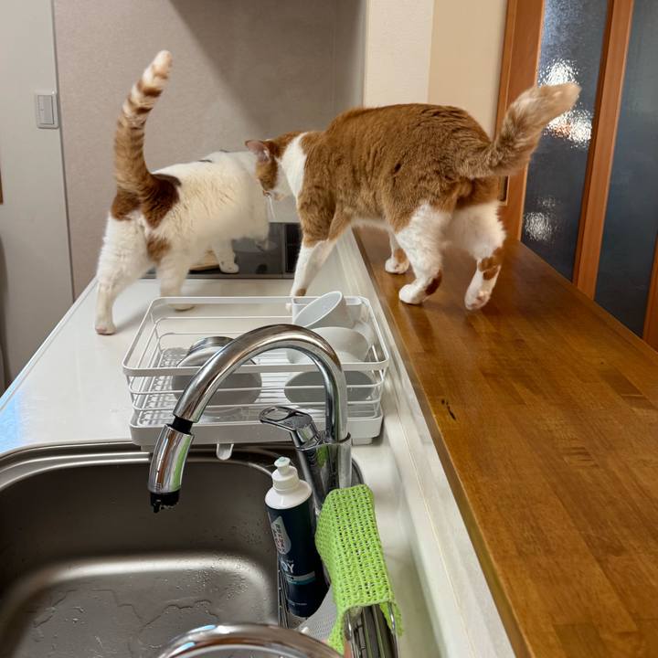 46204808 50d6 47cd 8068 69d971d91074 1769136363749