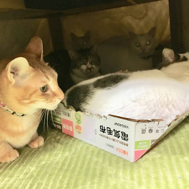 46208cb9 cee7 4704 8088 35d292083273 1548153498163