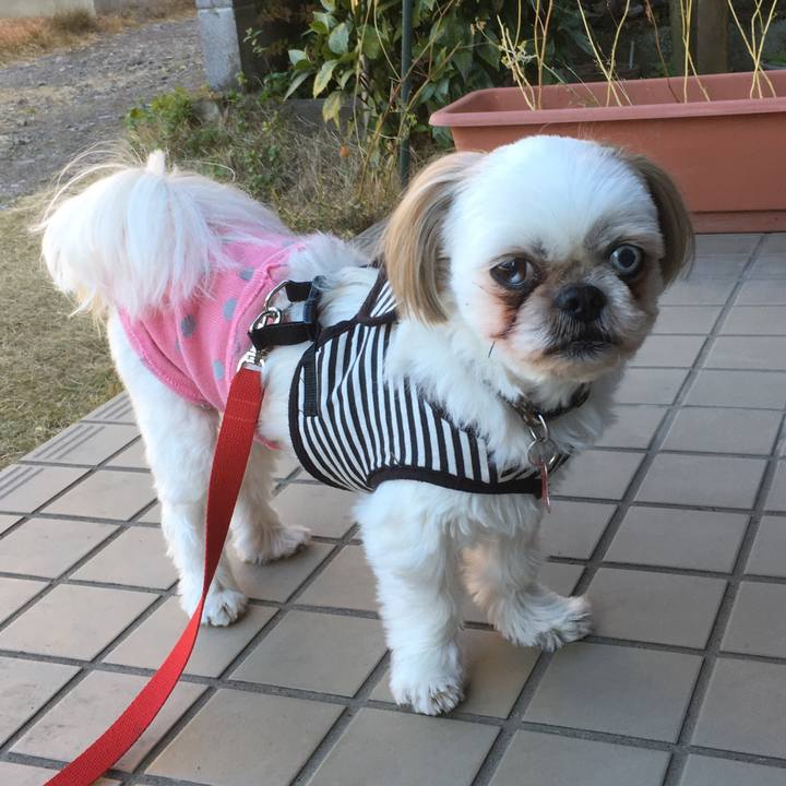 4620d08b 088a 4549 8c66 1be45c12c9c6 1512541191448