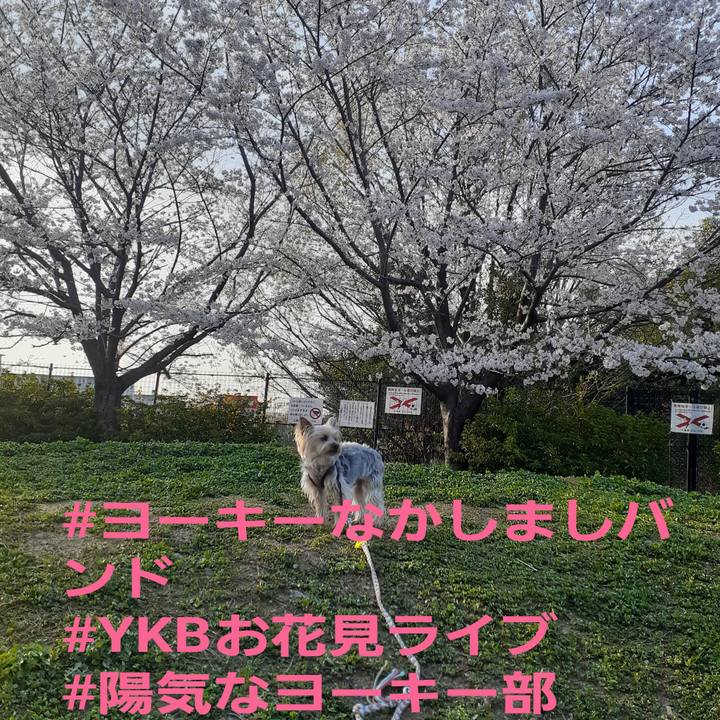 4620d328 ecf8 4816 8faf a565f24f101d 1680143243076