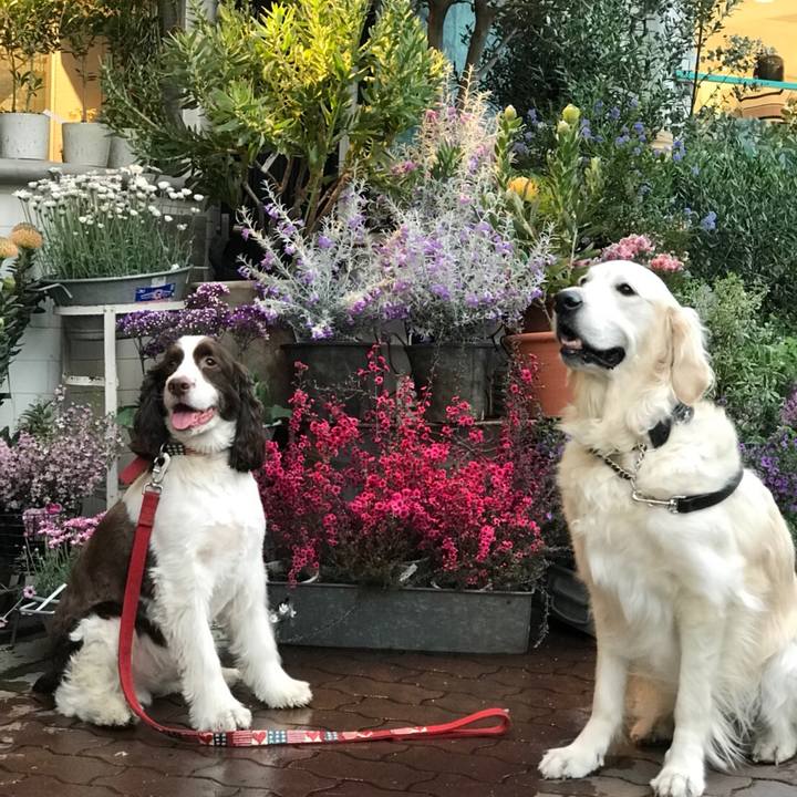 4620d503 254f 4d21 861d 254684dfda94 1523273423015