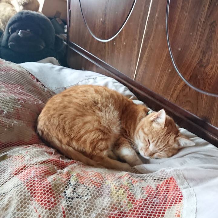 46210cbe 113f 41ca 8286 f4f44981997c 1586042511331