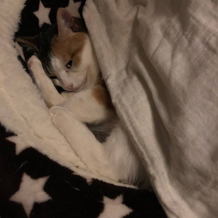 46210f83 2982 471f 85b9 7c124ddb6396 1582993855742