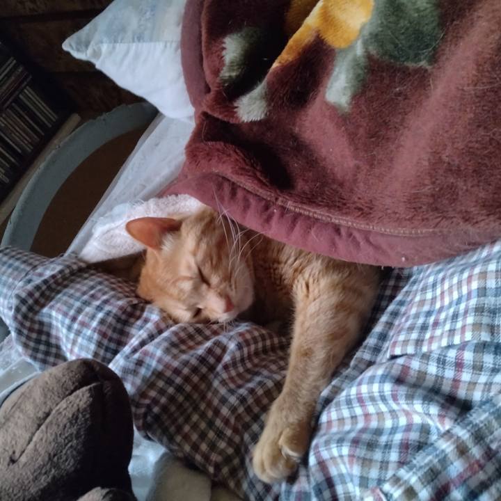 462120b7 ccb8 4c36 a853 56b2f7ea3b66 1746171198964