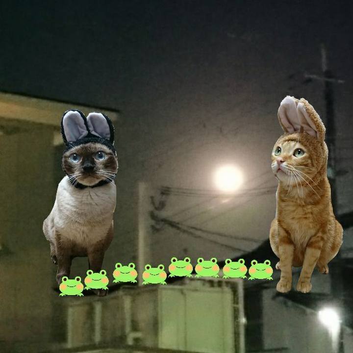 4621356c d098 4f5c b7b7 331d6e493a8a 1560771845879