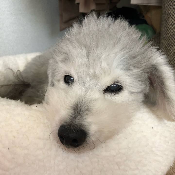 4621587d 6673 4aba b381 48234ed77b0c 1578615081682