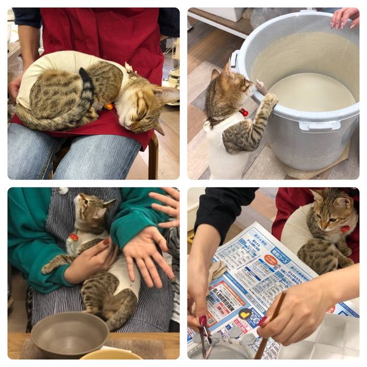 462184bc 843f 4aec b69d bfb8e155edf6 1581495507032