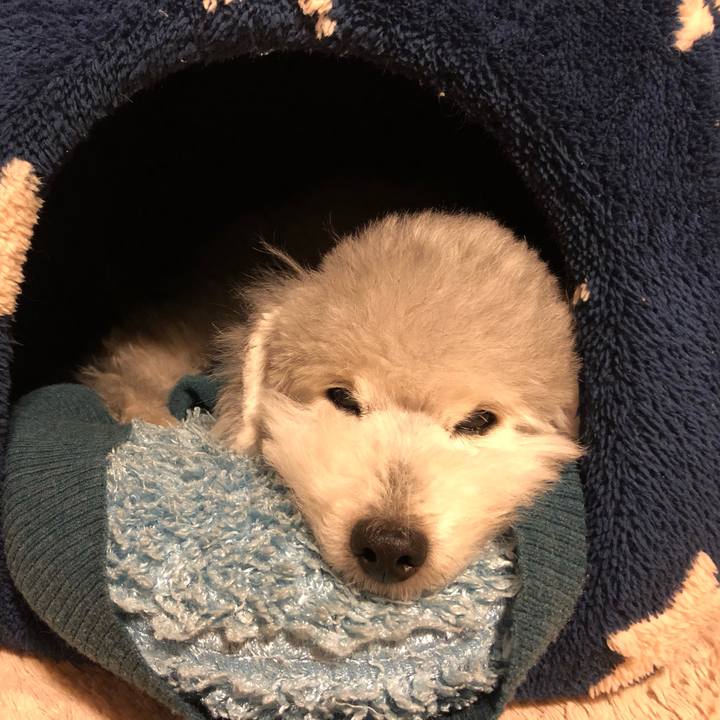 4621b4e0 0a3a 46b0 9e08 73c7d1cb8720 1610065886077