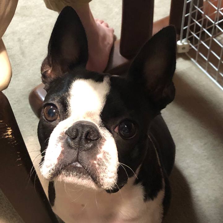 4621c793 ea32 47c0 97a1 a824d035c8a4 1570784199534