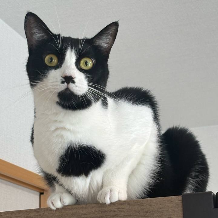 4621dc88 a4d2 48b4 b457 6f177b5d06de 1759974381285