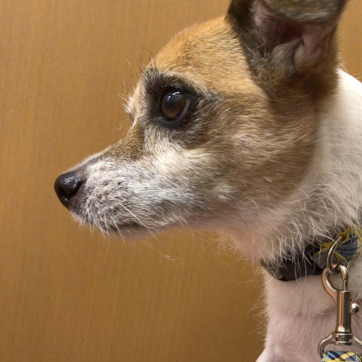 46220dfc 2b3b 4979 90e6 a706f39eb586 1570777803236