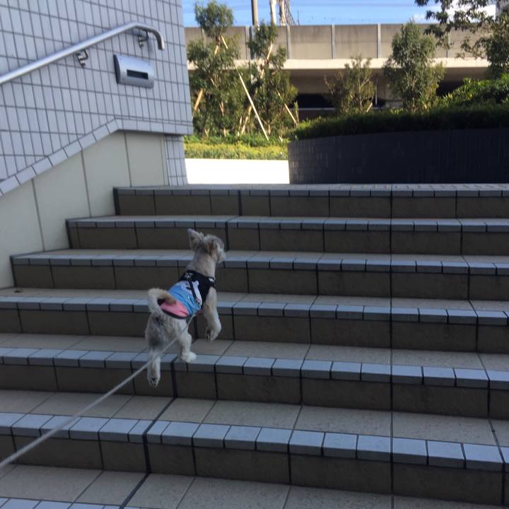 4622110e 6f9d 4da4 8752 fcca813dbb60 1542196614016