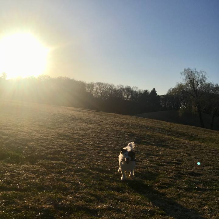 46222472 ac6a 4044 8230 891330fad644 1522793994391