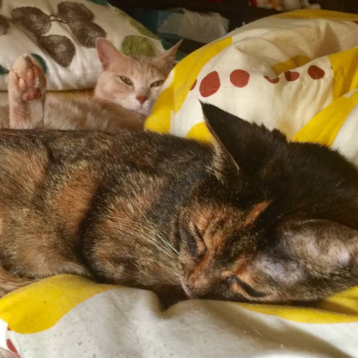 4622500e 5b3f 49e5 a4dd ee9a0e726d77 1571574958622