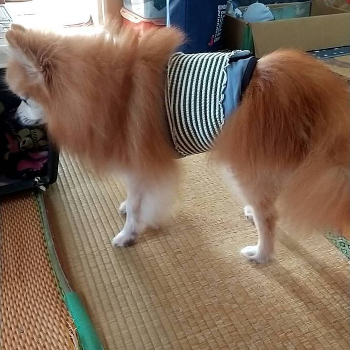 462264c1 ba11 4039 ae8c dc662b25e0c0 1666615234576