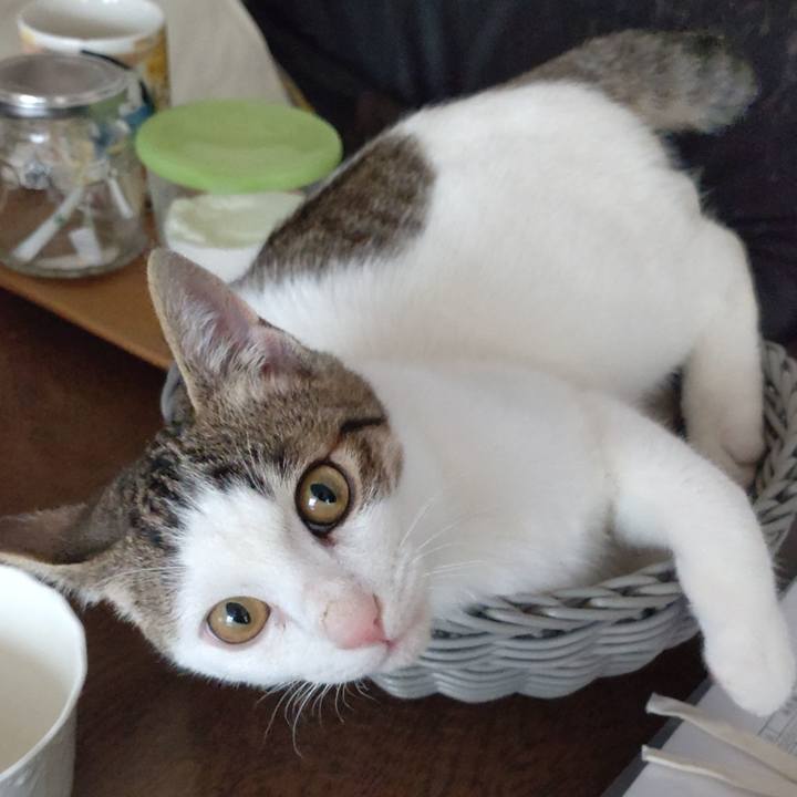 46227b4b 9e9d 4bf0 a70f 706fc37fa194 1641294279481