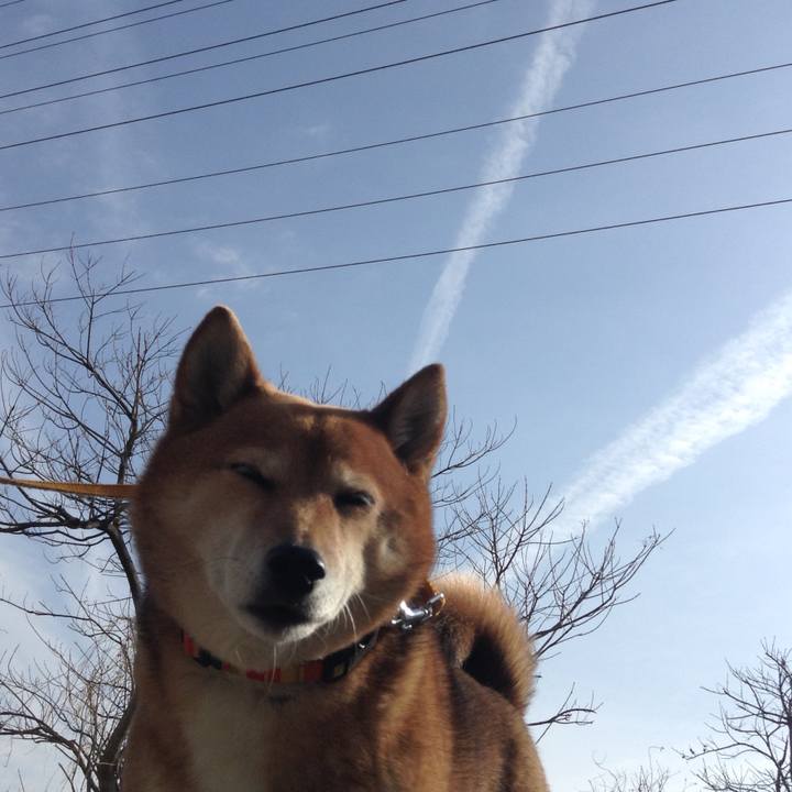 46231a72 66ba 4c75 9019 85915af15485 1516335237642