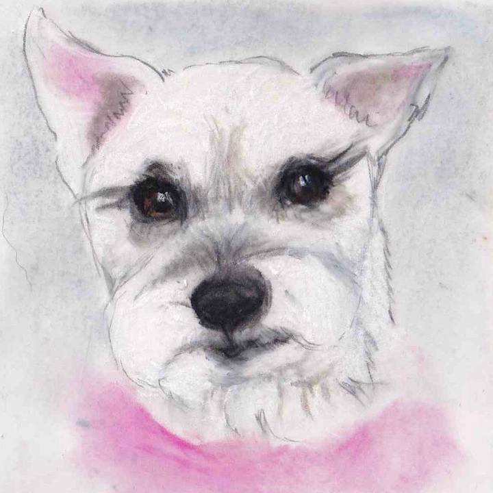 462360e8 5ac8 494e a137 62d29a5f549f 1649513662560