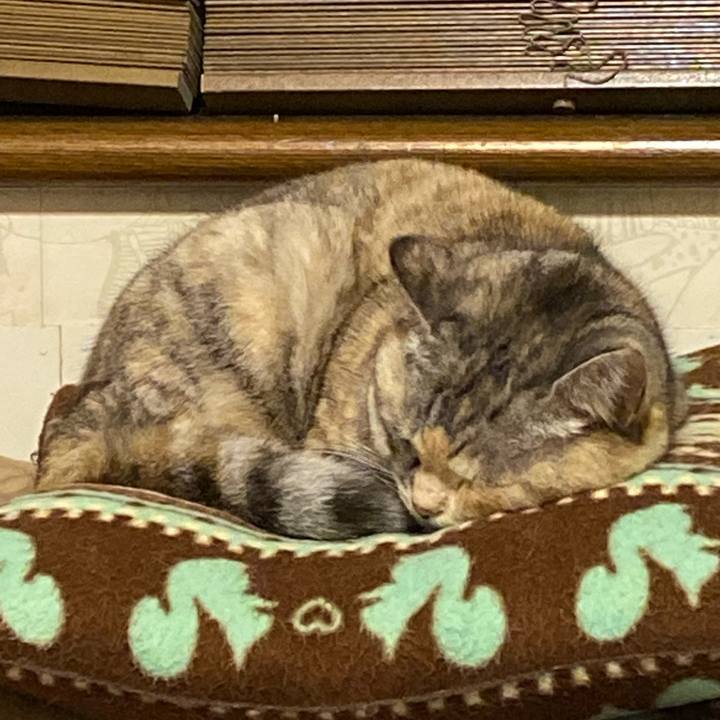 46238298 cc7b 4867 8216 25e31416f020 1670249937123