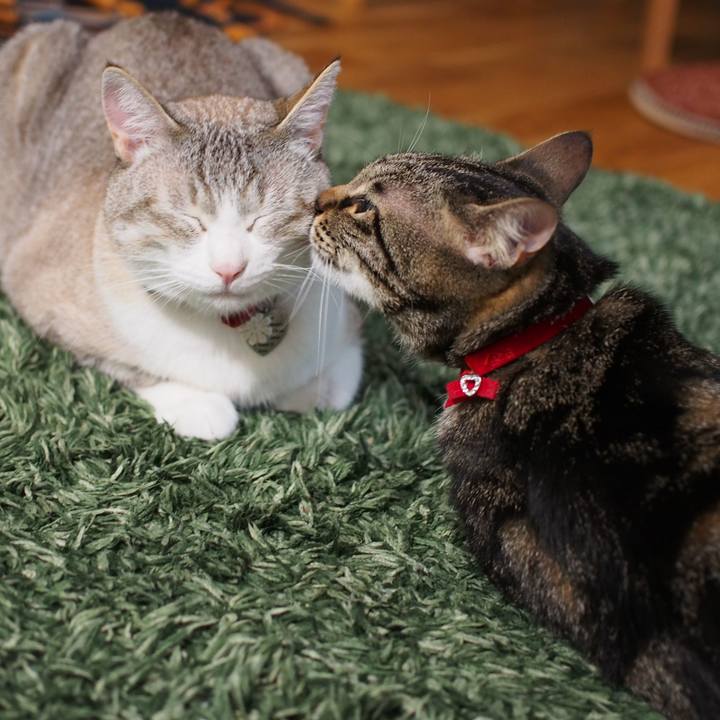 462397bb a0eb 4043 b0ba ba61f2722297 1563611804359