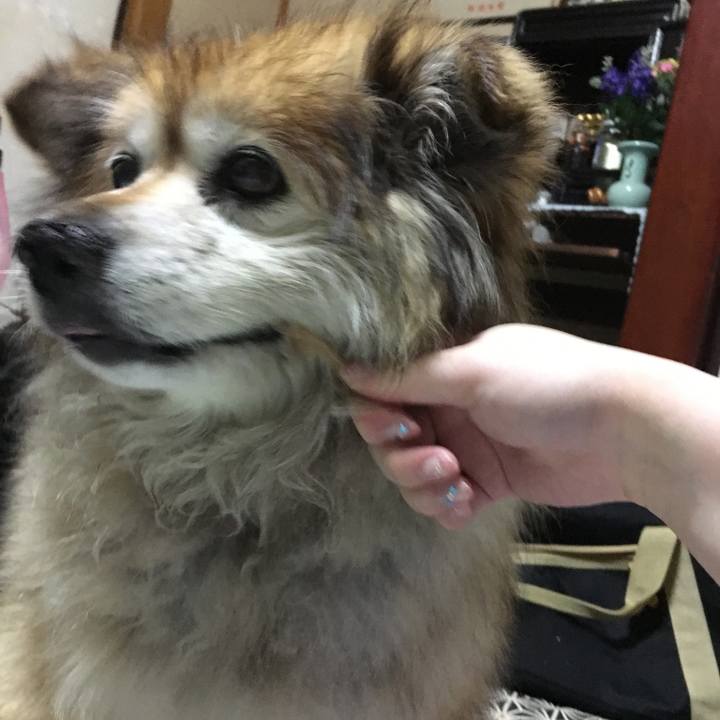 4623cd94 7460 4310 9884 2e24915b2a61 1562575874396