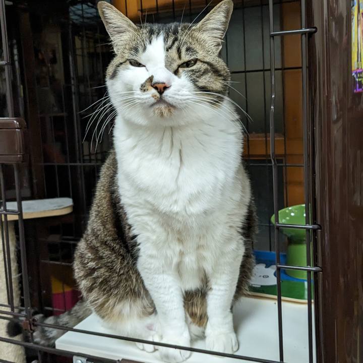 4623f3bf f689 4d34 8544 de494befa41d 1710068161116