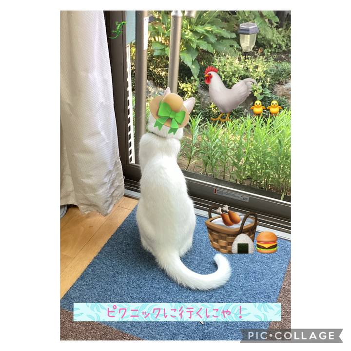 46242196 4adb 45da 9734 ee7c13394273 1656788331489