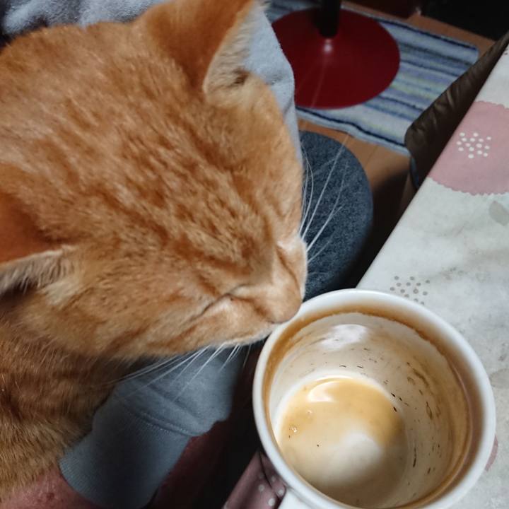 46244e28 f3c7 4cda b200 7adbc1e78671 1608754492642