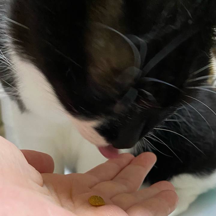 46246b81 5896 4f46 a048 94da46c231d8 1691670389799