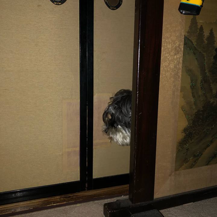 4624adc4 89e7 401a 9298 7afac7b4fd49 1544623873102