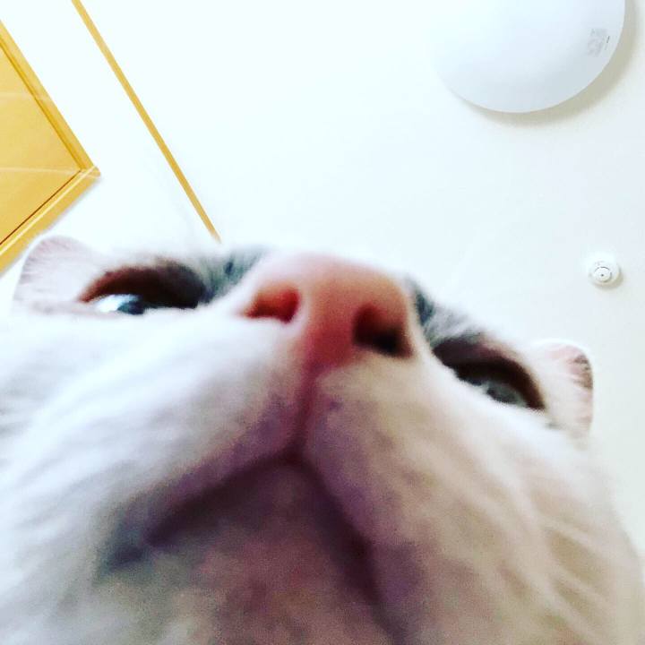 4624b76b d2cf 41c6 9418 23107ef64743 1554948009776