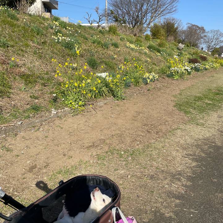 4624c734 27bd 4bd0 b88b 2915f3452240 1678795505478