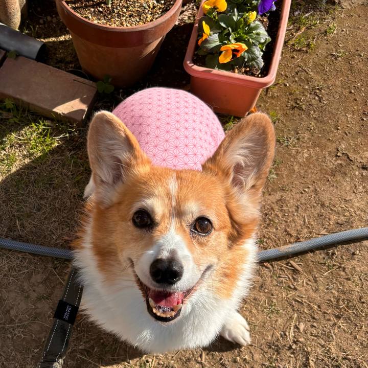 4624c7a7 b89f 46c0 90e1 afff6cb0f1a7 1767922808215