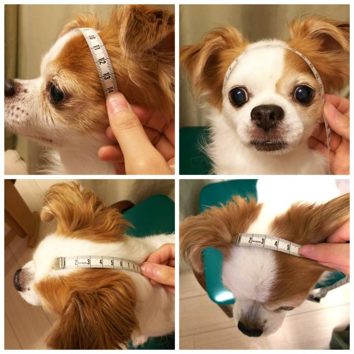 4624cf4b f8f8 44be a49a f298367d2e29 1532000115442