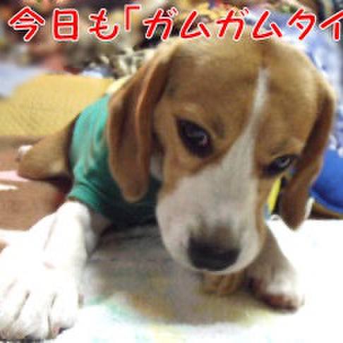 4624d3b6 3cbd 43d6 947e 9146c87b8179 1712105056873