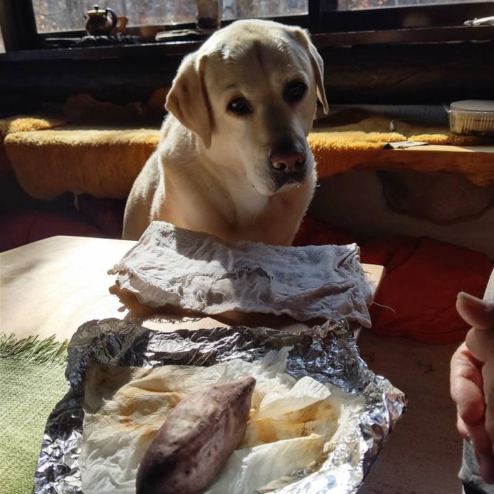 4624f407 43c4 46bd 9825 468949542b26 1699145636949