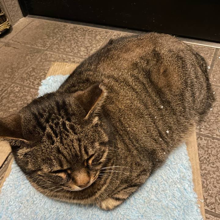 46250690 5e05 426e bcf2 bcb2a3efccc2 1612005781016